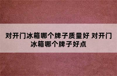 对开门冰箱哪个牌子质量好 对开门冰箱哪个牌子好点